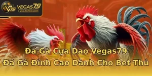 Đá Gà Cựa Dao Vegas79 - Đá Gà Đỉnh Cao Dành Cho Bet Thủ