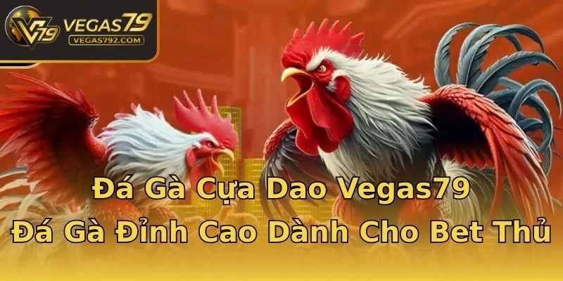 Đá Gà Cựa Dao Vegas79 - Đá Gà Đỉnh Cao Dành Cho Bet Thủ