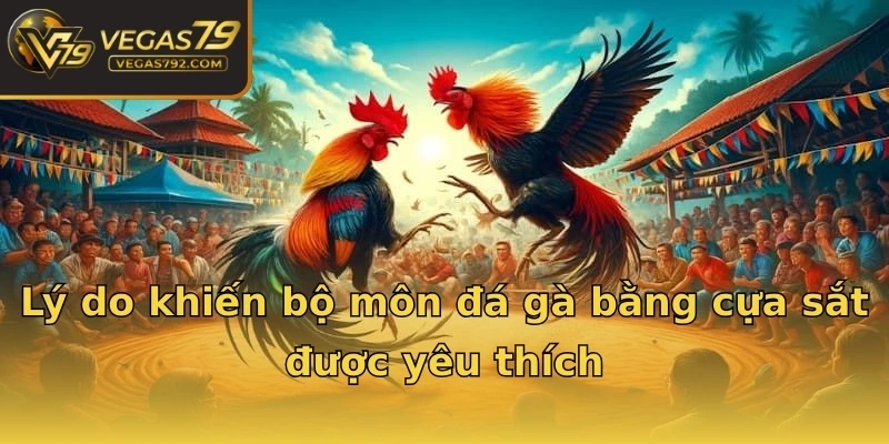 Lý do khiến bộ môn đá gà bằng cựa sắt được yêu thích
