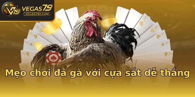 Mẹo chơi đá gà với cựa sắt dễ thắng