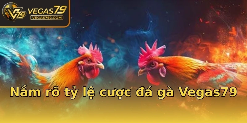 Nắm rõ tỷ lệ cược đá gà Vegas79