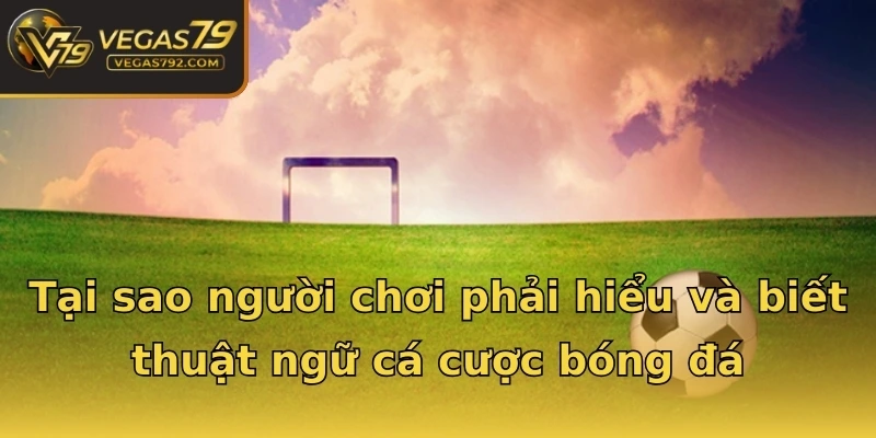 Tại sao người chơi phải hiểu và biết thuật ngữ cá cược bóng đá