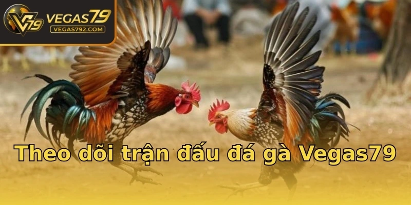 Theo dõi trận đấu đá gà Vegas79