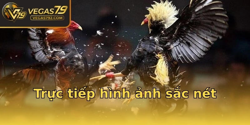 Trực tiếp hình ảnh sắc nét